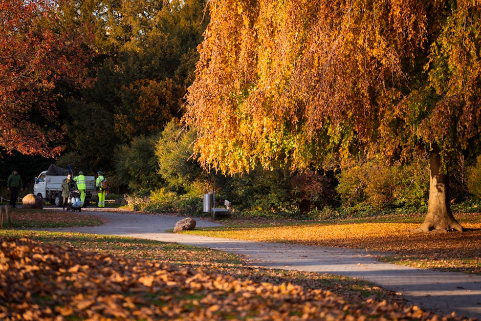 A group of waste disposal workers wearing high-visibility vests and helmets are gathered around a small white utility truck parked on a paved pathway within a park during autumn. The truck's rear is open, revealing equipment or waste collection tools, and nearby, a person is seated on a motorcycle. A large, mature deciduous tree with a thick trunk and expansive canopy displays vibrant orange and yellow leaves, some fallen on the ground and scattered along the pathway. The background consists of dense trees with foliage in shades of red, orange, and green, creating a colorful autumn scene. The sunlight casts warm, natural light over the scene, highlighting the textures of the leaves, the bark, and the paved surface, suggesting a late afternoon setting. The scene appears to be part of an on-site waste management or rubbish removal activity within a public park, with the workers preparing for or conducting a selective clearance, supporting private or alternative rubbish collection methods.